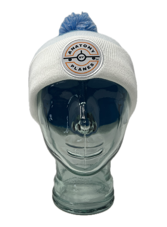 "Anatomy by Planes" Beanie